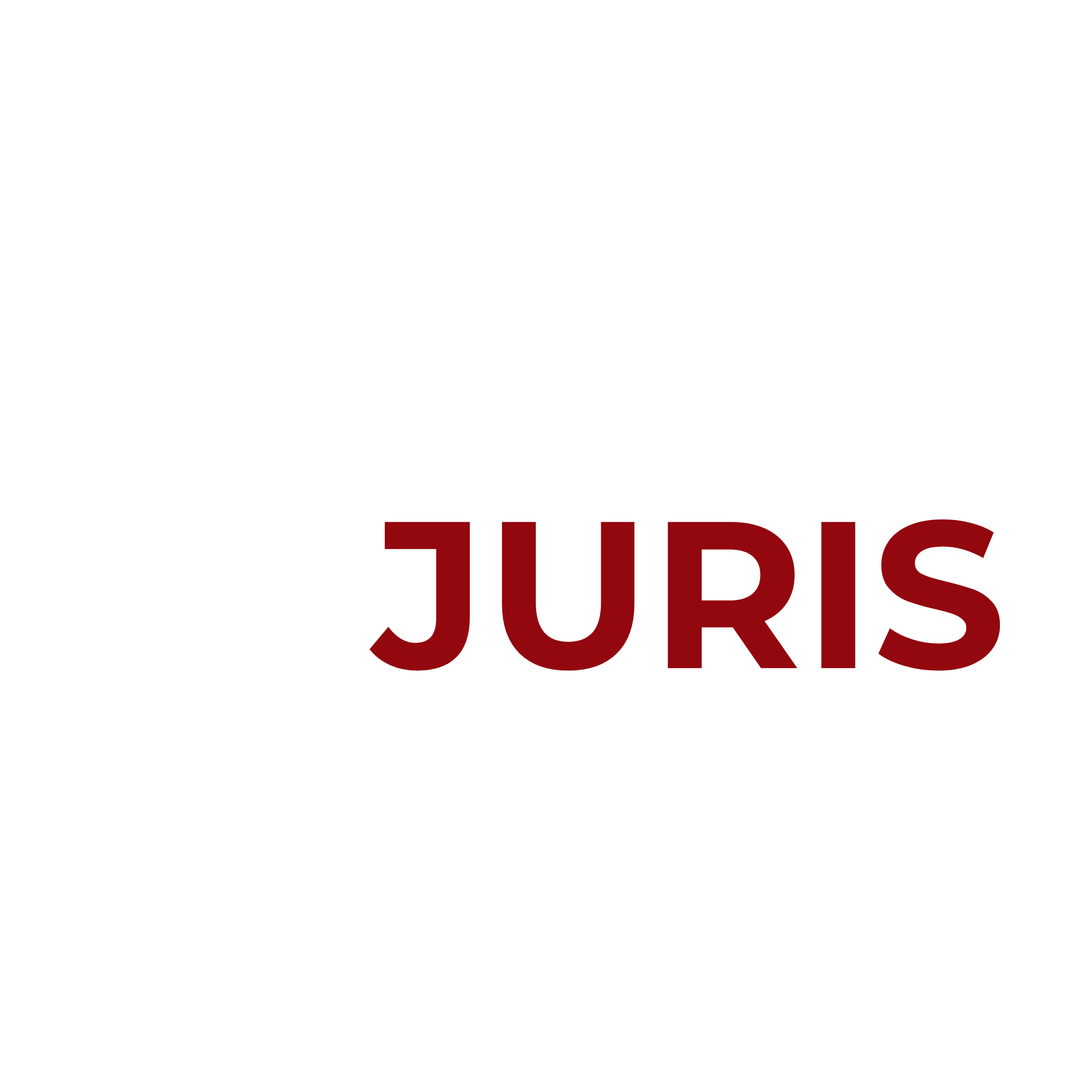 VJuris Assist